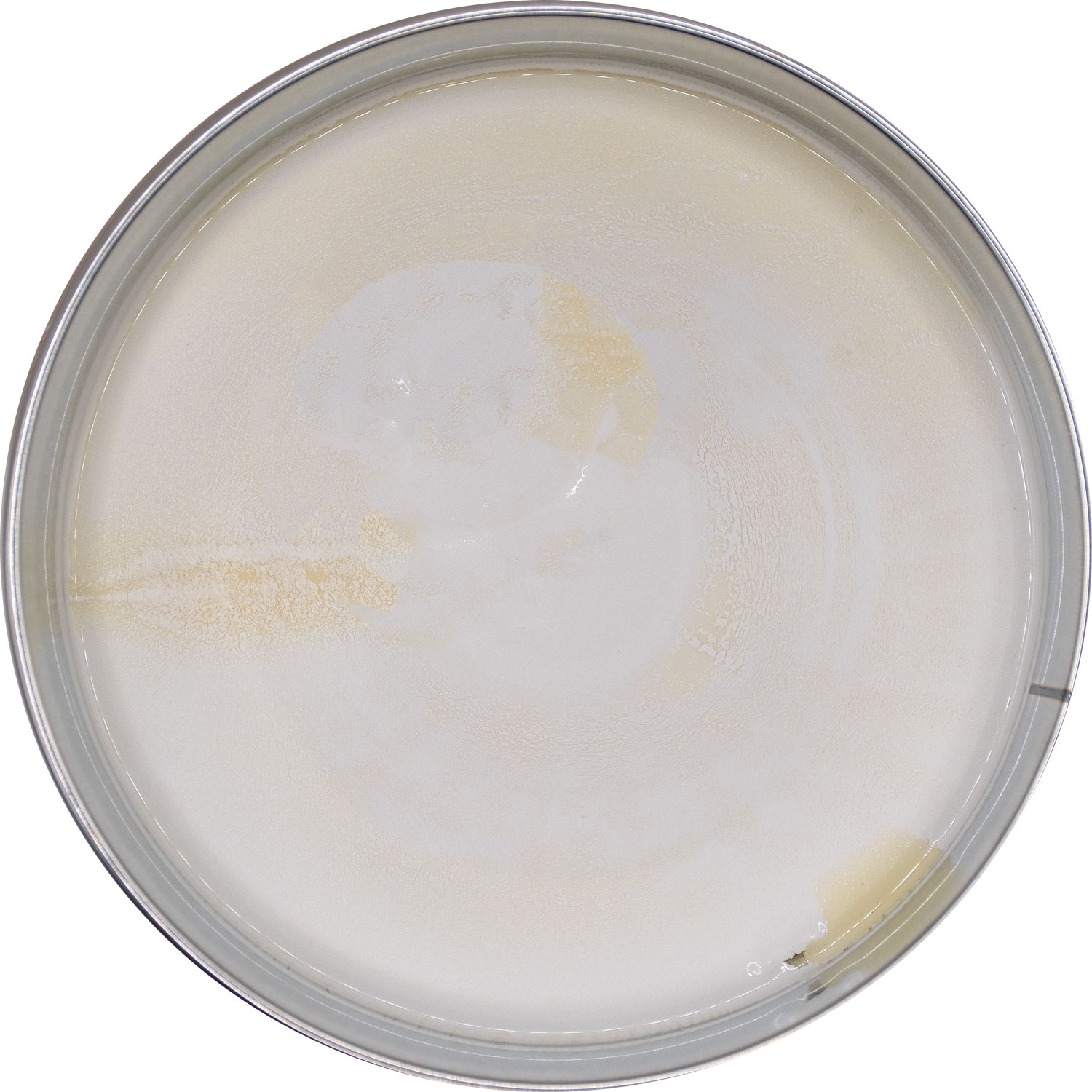 Chit fin pentru Lemn, nuanta Alb - Sinto, 1kg - imagine 2